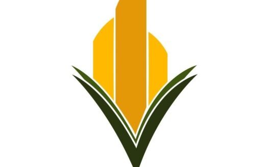 Developer Image